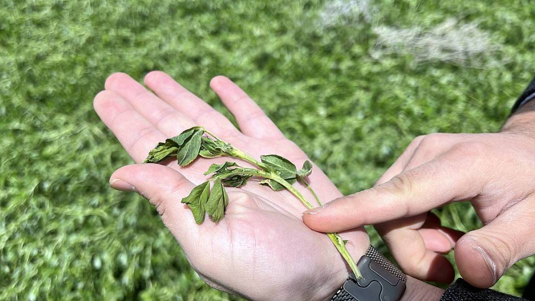 Tarımda tarihin en büyük felaketi yaşanıyor! Meyve, sebze fiyatlarında rekor artış yaşanacak 10